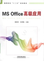 MS Office高级应用