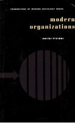 MODERN ORGANIZATIONS