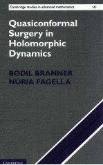 ouasiconformal surgery in holomorphic dynamics