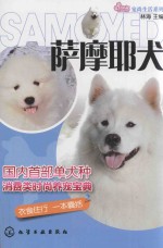 萨摩耶犬