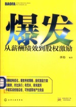 爆发  从薪酬绩效到股权激励