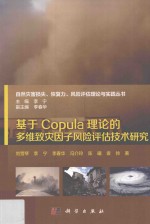 基于Copula理论的多维致灾因子风险评估技术研究