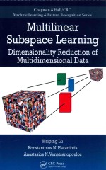 chapman & hall/crc machine learning & pattern recognition series  multilinear subspace learning dime