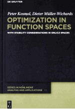 Optimization In Function Spaces With Stability Considerations In Orlicz Spaces