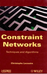 constraint networks techniques and algorithms