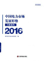 中国电力市场发展形势分析报告  2016