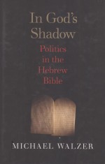 IN GOD'S SHADOW  POLITICS IN THE HEBREW BIBLE