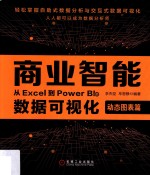 商业智能  从Excel到Power BI的数据可视化动态图表篇