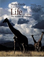 STUDY GUIDE TO ACCOMPANY LIFE THE SCIENCE OF BIOLOGY SIXTH EDITION