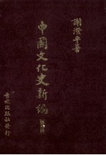 中国文化史新编  3