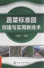 蔬菜标准园创建与实用新技术