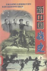 新中国战史  上