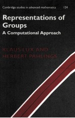 REPRESENTATIONS OF GROUPS A COMPUTATIONAL APPROACH