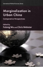 MARGINALIZATION IN URBAN CHINA  COMPARATIVE PERSPECTIVES