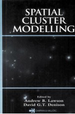 Spatial Cluster Modelling